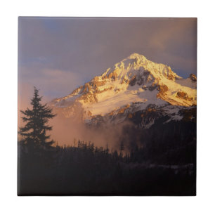 Carreau États-Unis, Oregon, Forêt nationale du mont Hood