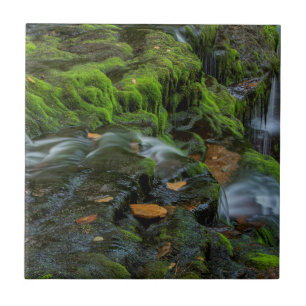 Carreau États-Unis, Pennsylvanie, Benton, Ricketts Glen St