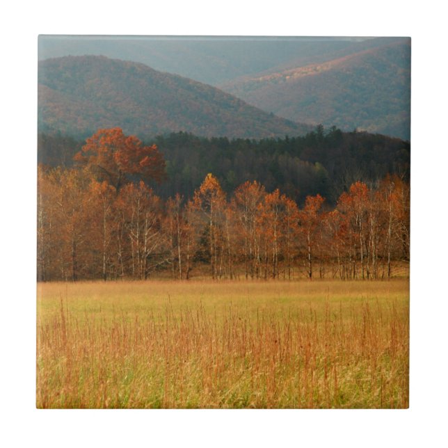 Carreau États-Unis, Tennessee. Cades Cove In Smoky Mountai (Devant)