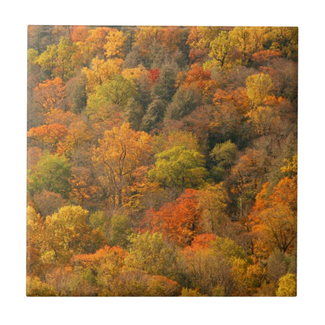 Carreau États-Unis, Tennessee. Édifice d'automne 2 (Devant)