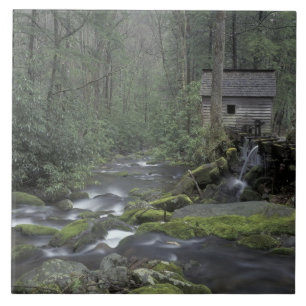 Carreau États-Unis, Tennessee, Great Smoky Mountains Natio