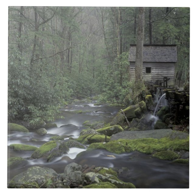 Carreau États-Unis, Tennessee, Great Smoky Mountains Natio (Devant)