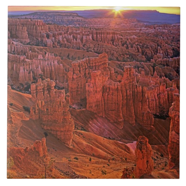 Carreau États-Unis, Utah, Bryce Canyon National Park. (Devant)