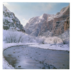 Carreau États-Unis, Utah, Zion NP. De nouvelles neiges rec