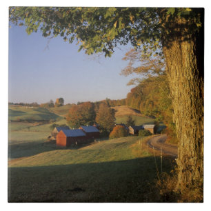 Carreau États-Unis, Vermont, sud de Woodstock, Jenne Farm 