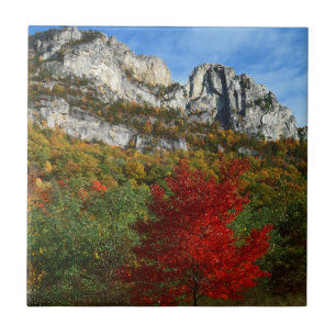 Carreau États-Unis, Virginie-Occidentale, Rochers de Spruc
