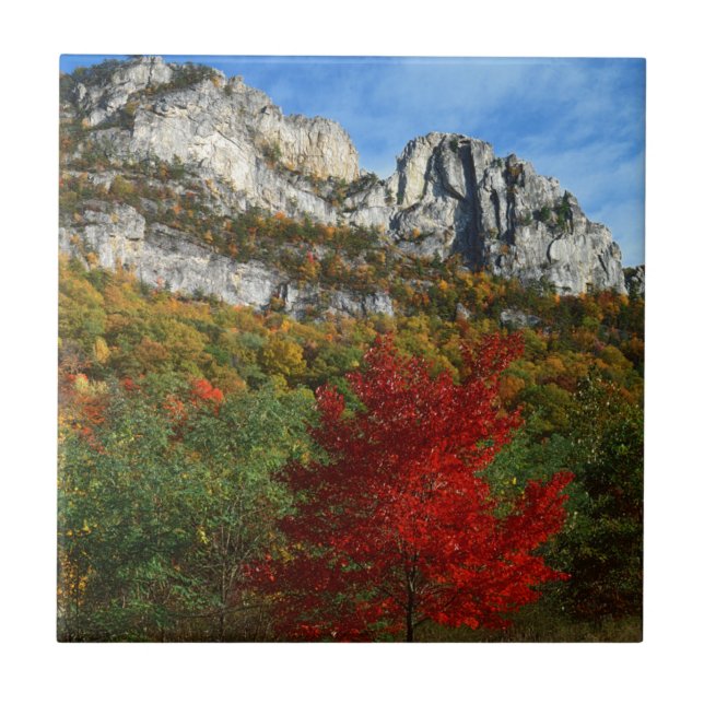 Carreau États-Unis, Virginie-Occidentale, Rochers de Spruc (Devant)
