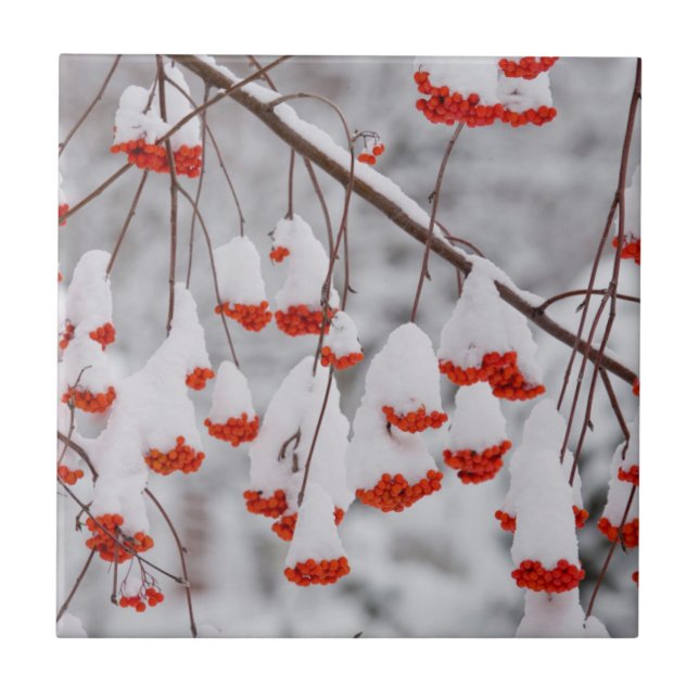 Carreau États-Unis, Washington, comté de Spokane (Devant)