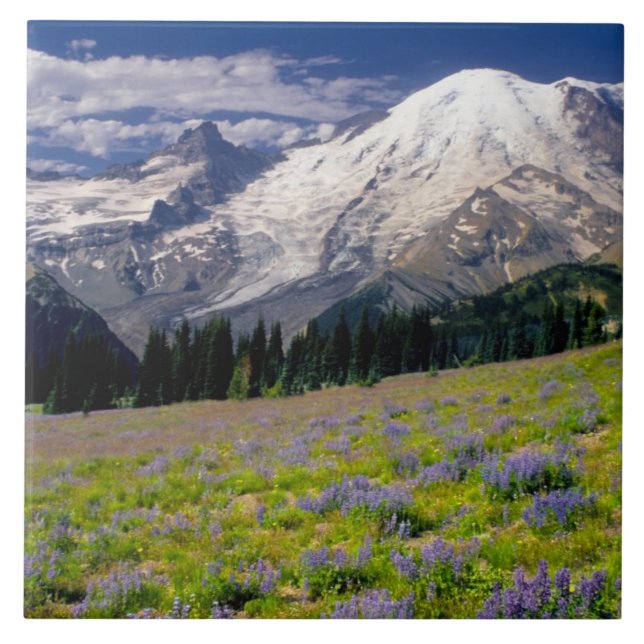 Carreau États-Unis, Washington, Parc national du Mont Rain (Devant)