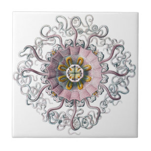 Carreau Étoiles de mer roses