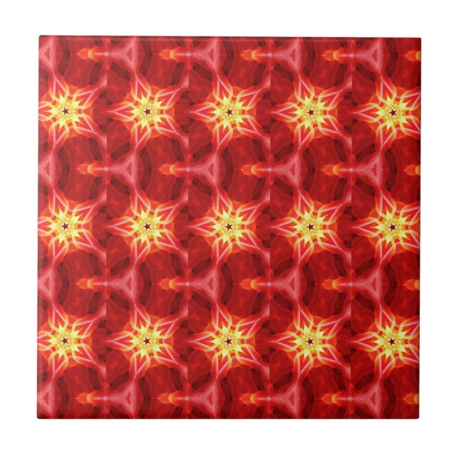Carreau étoiles d'or sur tuiles rouges (Devant)