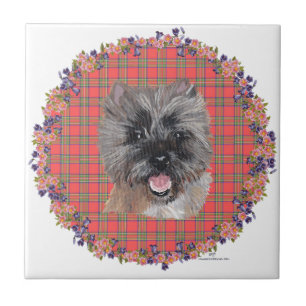 Carreau Étude de tête sur tartan