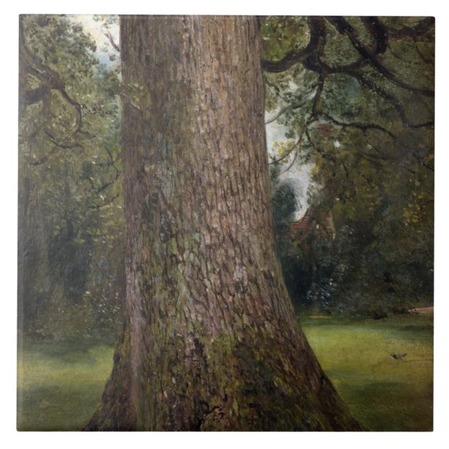 Carreau Étude du tronc d'un arbre d'orme, c.1821 (huile (Devant)