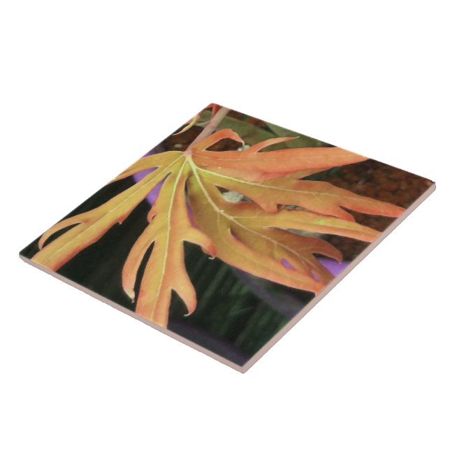 Carreau Étude sur la feuille 2 (Côté)