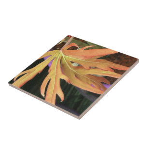 Carreau Étude sur la feuille 2