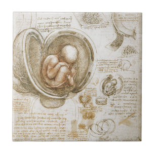 Carreau Études de Leonardo da Vinci du foetus dans