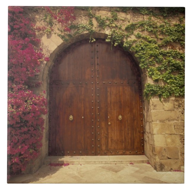 Carreau Europe, Espagne, Baléares, Majorque, Palma de (Devant)