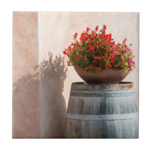 Carreau Europe, Italie, Toscane. Pot de fleurs