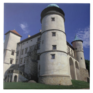 Carreau EUROPE, Pologne, Mts Carpates, Nouvelle Wisnicz