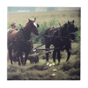 Carreau Faire du foin avec des chevaux