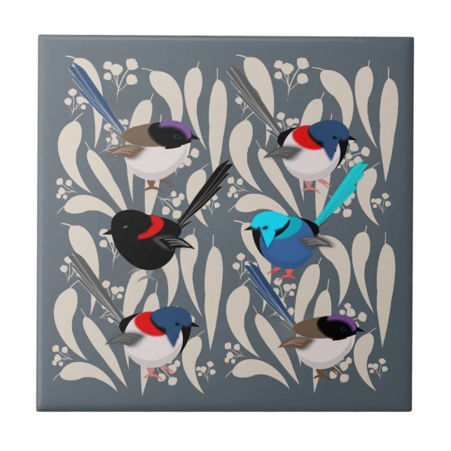 Carreau Fairy Wrens (Devant)