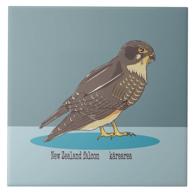 Carreau Falcon de la Nouvelle-Zélande Karearea (Devant)
