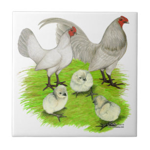 Carreau Famille de Bantam Old English Self Blue