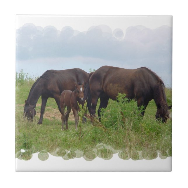 Carreau Famille de cheval frôlant la tuile (Devant)