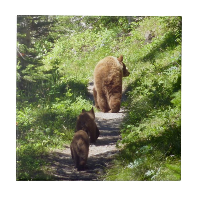 Carreau Famille d'ours Brown (Devant)