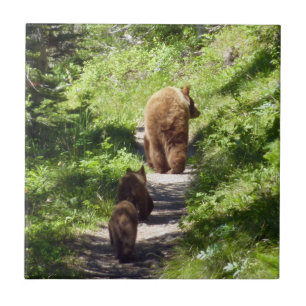 Carreau Famille d'ours brun