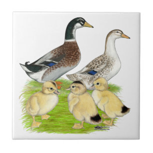 Carreau Famille Silver Appleyard