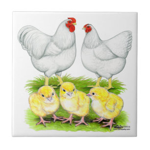 Carreau Family de Wyandotte