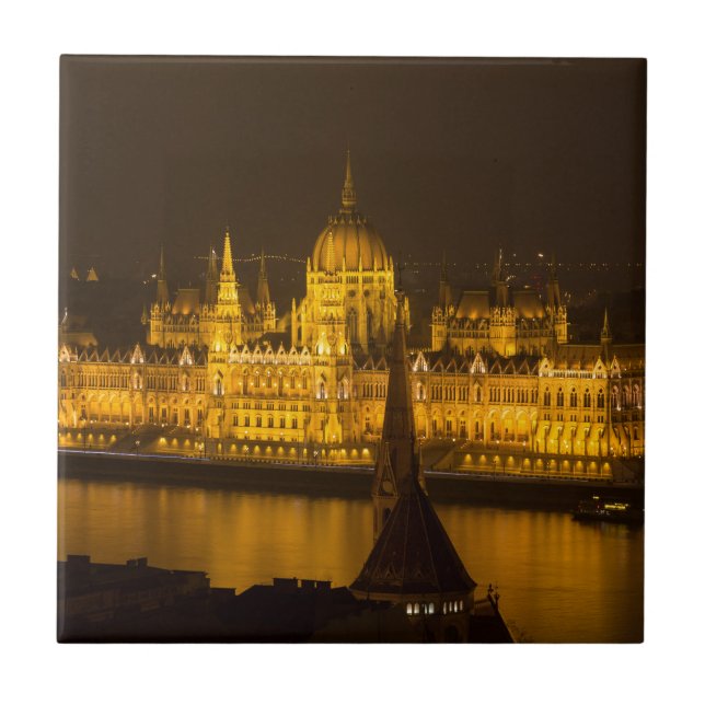 Carreau Famine Parliament Budapest by night (Devant)