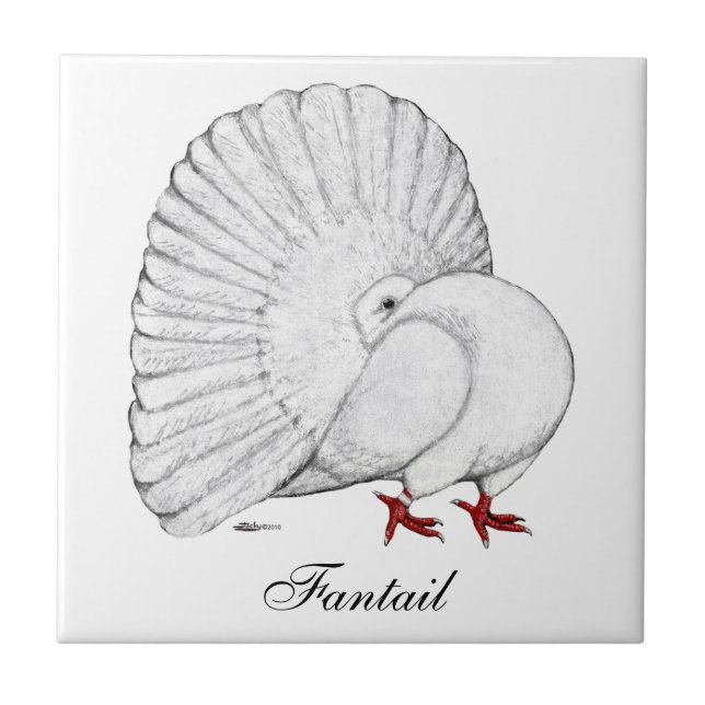 Carreau Fantail Pigeon White (Devant)