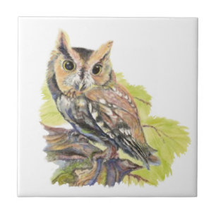 Carreau Faune d'oiseau de hibou de cri strident