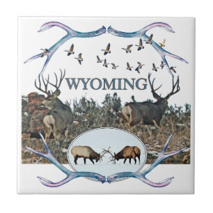 Carreau Faune du WYOMING