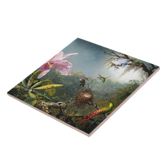 Carreau Faune florale animale d'oiseau de colibri (Côté)