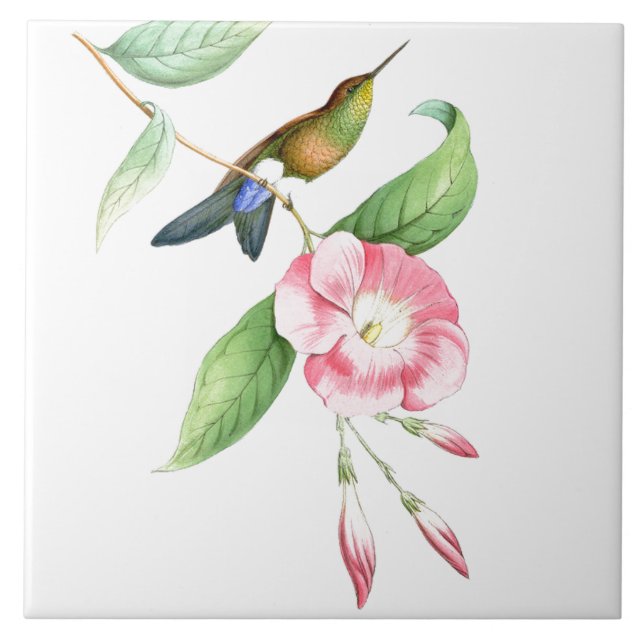 Carreau Faune florale d'animaux de fleurs d'oiseaux de (Devant)