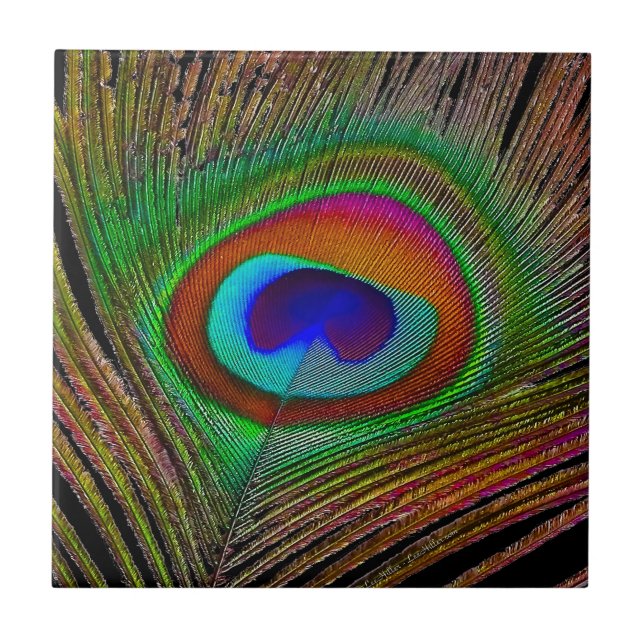 Carreau Feather Vibrant Copper (Devant)