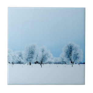 Carreau Ferme d'hiver