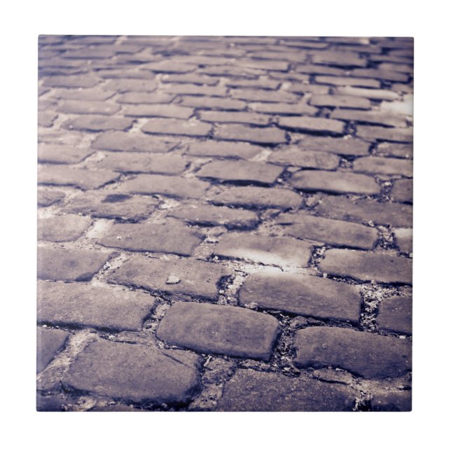 Carreau Fermer La Rue De Cobblestone (Devant)