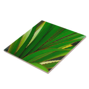 Carreau Fermeture de la colonne vertébrale