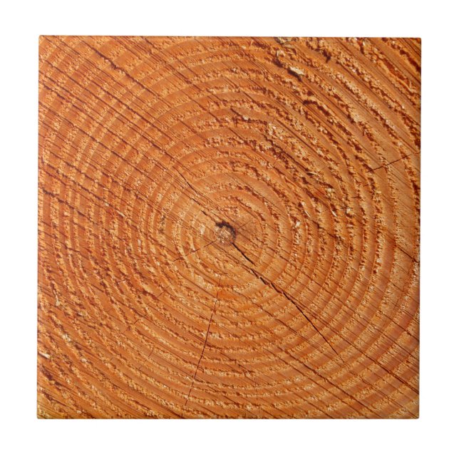 Carreau Fermeture des anneaux annuels des arbres (Devant)
