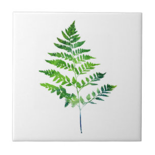 Carreau Fern Feuille
