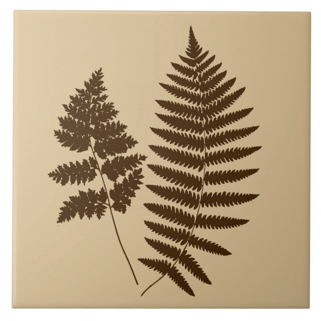 Carreau Ferne à bois, beige et Brown foncé (Devant)