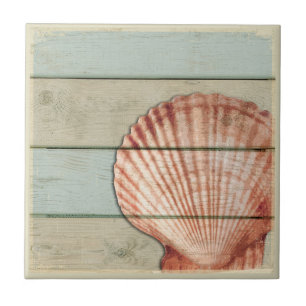 Carreau Feston Shell