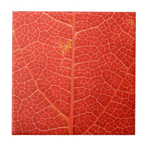 Carreau Feuille automnale