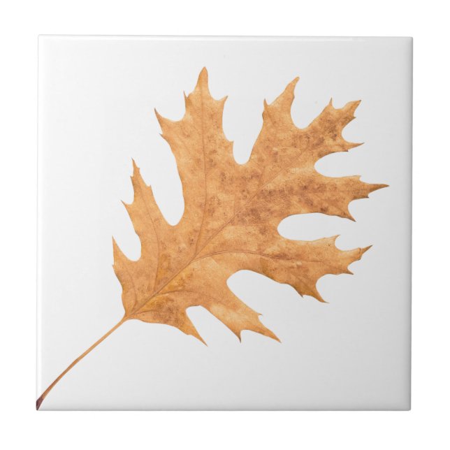 Carreau Feuille d'automne (Devant)