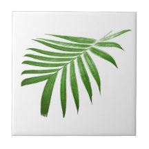 Feuille de palmier moderne naturelle