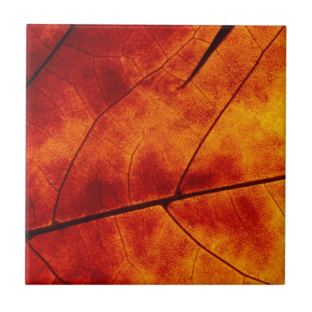 CARREAU FEUILLE ORANGE (Devant)